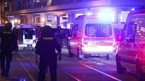 ऑस्ट्रिया के शहर वियना में आतंकवादी हत्या: आतंकवादी, चरमपंथी और उदारवादी