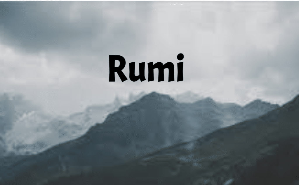 The Peacemaker Rumi
